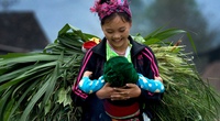 Ảnh báo chí “Đất và Người”: Khơi trúng mạch ảnh dân dã