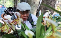 Say đắm ngắm "guốc hài giai nhân" ở vườn hoa xuân lớn nhất Sài Gòn