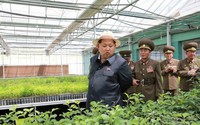 Bình dị nông thôn Triều Tiên dưới thời ông Kim Jong - un