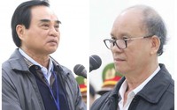 2 cựu Chủ tịch Đà Nẵng lĩnh 29 năm tù vì giúp Phan Văn Anh Vũ