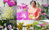 Vườn hoa lan 60 chậu nở rực trên ban công 4m² của nữ nhà báo U60