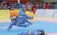 Những mốc son lịch sử của Vovinam