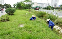 "Thanh tra cần vào cuộc làm rõ 53 tỷ cắt cỏ Đại lộ Thăng Long"