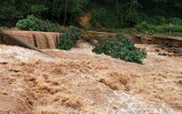 Clip: Liều bơi qua nước lũ ngập đến cổ ở Ba Chẽ, Quảng Ninh