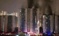 Vụ cháy chung cư Carina: GĐ Công ty Hùng Thanh được cho tại ngoại