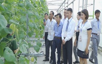 63 “siêu” nông dân hội tụ học tập mô hình công nghệ cao tại Nông trường VinEco Hải Phòng