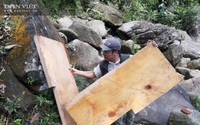 Chủ tịch UBND tỉnh Lào Cai: Sai phạm rõ ràng, xử lý nghiêm, không bao che vụ phá rừng Hoàng Liên