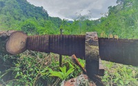 Video: Cận cảnh rừng nghiến cổ thụ Vườn Quốc gia Du Già (Hà Giang) bị tàn phá