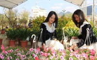 Có một chợ hoa giữa lòng thành phố Sơn La, hoa gì cũng có