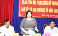 Phó Chủ tịch Hội NDVN Cao Xuân Thu Vân: Xây dựng mô hình cần có dấu ấn của Hội Nông dân