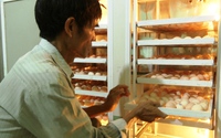 Nông dân Quảng Nam 65 tuổi trở thành triệu phú nhờ nuôi gà thịt, gà đẻ