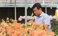 Quảng Trị: “Thạc sĩ trồng lan” được bổ nhiệm làm Phó Giám đốc Sở KHCN