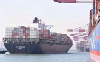 Hủy hàng loạt chuyến tàu container từ Á sang Mỹ, Âu 
