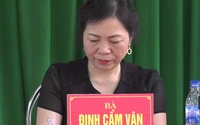 Đình chỉ sinh hoạt Đảng với nguyên Giám đốc Sở Tài chính Thanh Hoá Đinh Cẩm Vân