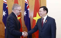 Việt Nam - Australia công bố ý định nâng cấp quan hệ lên Đối tác chiến lược toàn diện