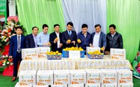 Ninh Bình: Giới thiệu đặc sản cam vàng Hà Giang tại cửa hàng nông sản an toàn