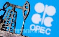 OPEC+ có thể cân nhắc cắt giảm sản lượng nhiều hơn tại cuộc họp tháng 12