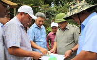 Quảng Nam: Huyện Nam Trà My thành vùng trồng cây dược liệu trọng điểm Quốc gia vào năm 2030