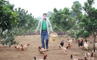 Hà Nội: "Hô biến" mảnh đất mọc đầy cỏ dại thành trang trại nuôi con đặc sản, anh nông dân thu 700 triệu đồng/năm 