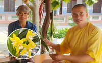 Trồng hoa lan độc lạ, giúp bếp ăn từ thiện của chùa Giác Quang ở Bình Phước luôn đỏ lửa yêu thương