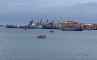 Quảng Ngãi: Vũng neo đậu tàu thuyền 400 tỷ sẽ về đích trong năm 2022