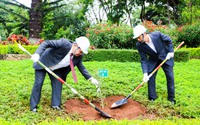 Gia Lai: Tiếp nhận và trồng 24 cây hoa anh đào do Nhật Bản tặng
