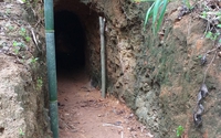 Kon Tum: Không phát hiện tình trạng khai thác vàng tại vườn quốc gia như cử tri phản ánh