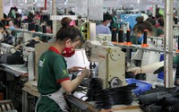 Đà Nẵng: Hơn 9.000 doanh nghiệp được hưởng lợi từ chính sách hỗ trợ do dịch Covid-19