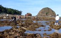 Giẫm đạp phá hỏng san hô tại danh thắng quốc gia này ở Phú Yên chia sẻ rầm rộ trên mạng khiến dân bức xúc