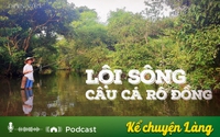 Kể chuyện Podcast: Lội sông câu cá rô đồng
