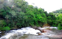 Khu bảo tồn thiên nhiên Nam Nung: “Kích hoạt” tiềm năng du lịch sinh thái trong môi trường rừng