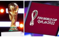 Giá mua bản quyền World Cup 2022 tại các quốc gia trên thế giới?
