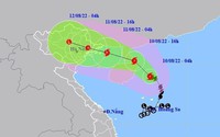 Hải Phòng: Thông báo khẩn cho gần 3.000 phương tiện trên biển chủ động ứng phó bão số 2