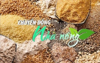 Chuyển động Nhà nông 14/8: Việt Nam chi gần 6 tỷ USD nhập khẩu thức ăn chăn nuôi và nguyên liệu