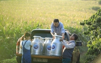 Tập đoàn Sữa Cô Gái Hà Lan: Con đường phát triển bền vững dẫn dắt thành công