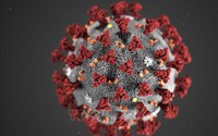 Giải pháp mới giúp điều trị hiệu quả các biến thể của virus SARS-CoV-2