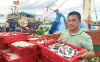 Nông dân Việt Nam xuất sắc 2022 đến từ Quảng Bình là người có biệt danh "Sói biển" săn cá Biển Đông