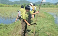Sau phản ánh của báo điện tử Dân Việt, gần 200 mét lưới dùng bẫy chim trời bị tiêu hủy ở Thanh Hóa