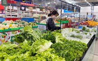 Rau bẩn đội lốt VietGAP: Truy trách nhiệm giám đốc siêu thị