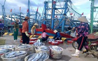 Clip: Ngư dân Quảng Bình chạy bão Noru vẫn kịp mang đầy cá bò, cá hố về bờ