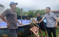 Hội Nông dân Đà Nẵng chung tay với nông dân ứng phó bão Noru