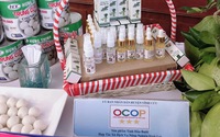 Đồng Nai: 100 sản phẩm OCOP được công nhận, nâng cao giá trị cạnh tranh