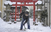 Lạnh giá kỷ lục khiến giao thông Nhật Bản hỗn loạn