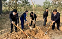 Chủ tịch Hội Nông dân TP Hà Nội tham gia Tết trồng cây tại xã Đồng Thái, huyện Ba Vì