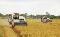 Trồng lúa theo cách này, Việt Nam giảm 10 triệu tấn carbon, có thể tín chỉ hóa đem bán, thu 100 triệu USD