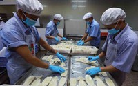 Hàng loạt giải pháp chống ế tiền