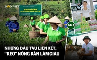 Những đầu tàu liên kết, "kéo" nông dân làm giàu: Chuyện giám đốc hợp tác xã làm thương hiệu (bài 3)