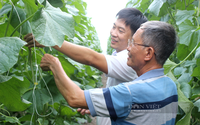 Chương trình Tự hào Nông dân Việt Nam 2023 với chuỗi các sự kiện đặc biệt "do nông dân, vì nông dân"