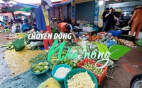 Chuyển động Nhà nông 2/10: Sau mưa lũ, rau xanh ở Nghệ An 'đội giá'