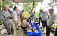 Nông dân Đà Nẵng hào hứng tham gia tập huấn kỹ thuật nuôi sâu canxi và trùn quế